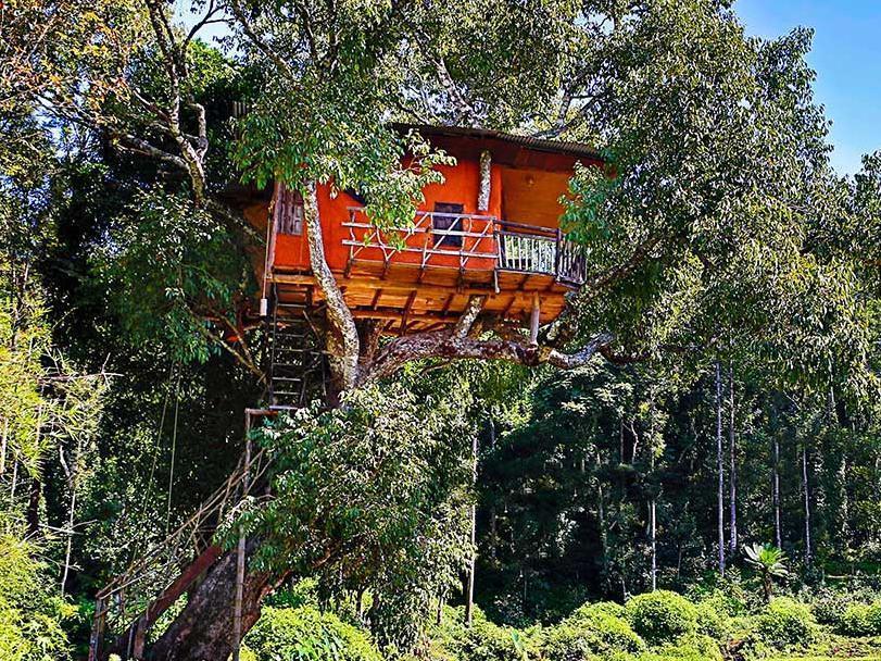 Elephant Valley Eco Farm Hotel Tamilnadu - Tamilnadu - Kodaikanal Exterior foto