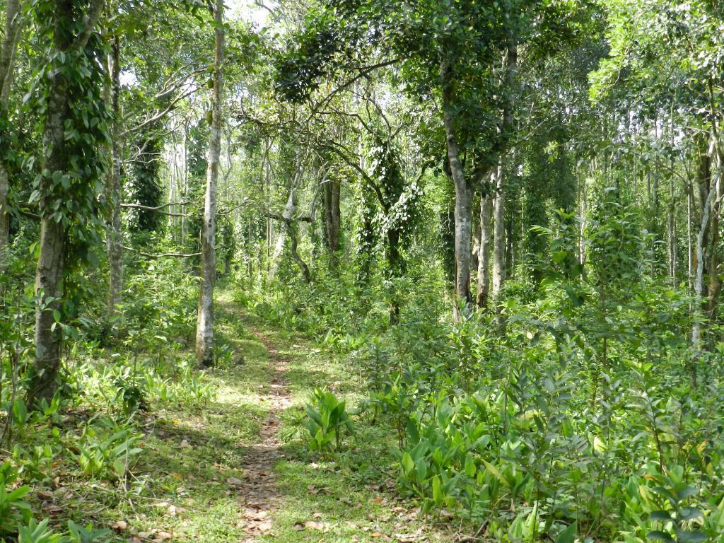 Elephant Valley Eco Farm Hotel Tamilnadu - Tamilnadu - Kodaikanal Exterior foto